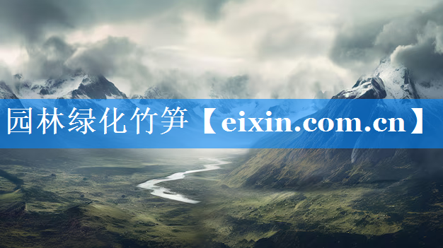 園林綠化竹筍
