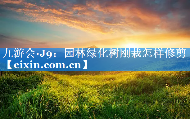 園林綠化樹剛栽怎樣修剪