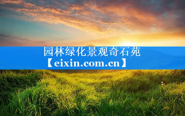 園林綠化景觀奇石苑