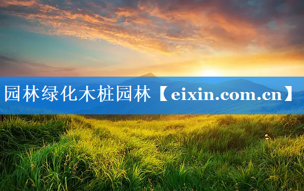 園林綠化木樁園林