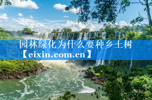 園林綠化為什么要種鄉(xiāng)土樹