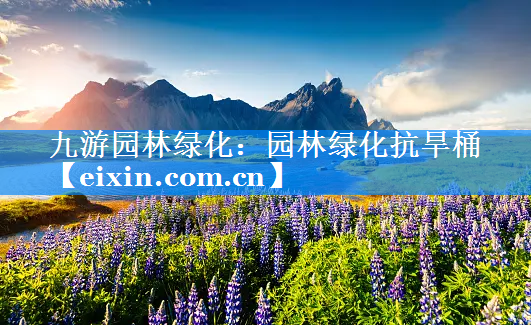 園林綠化抗旱桶