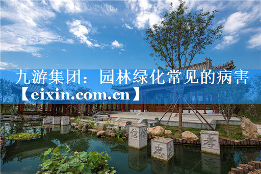 園林綠化常見的病害