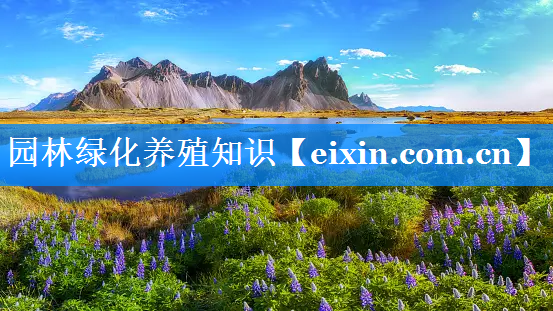 園林綠化養(yǎng)殖知識