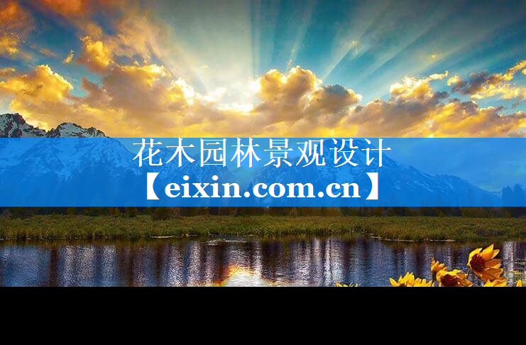 花木園林景觀設(shè)計(jì)