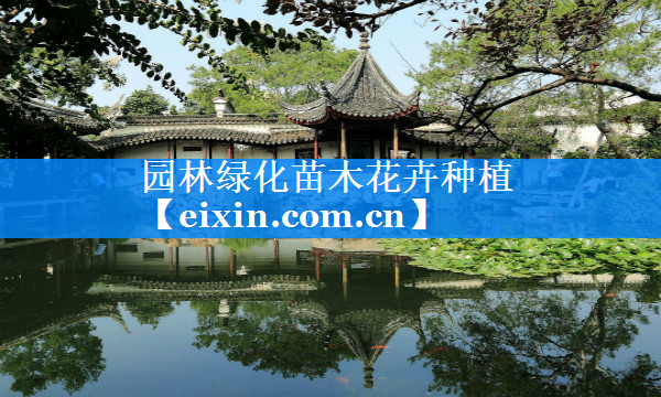 園林綠化苗木花卉種植