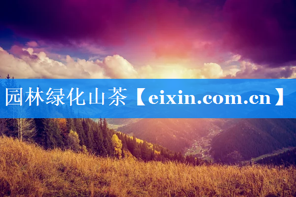 園林綠化山茶