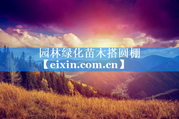 園林綠化苗木搭圓棚