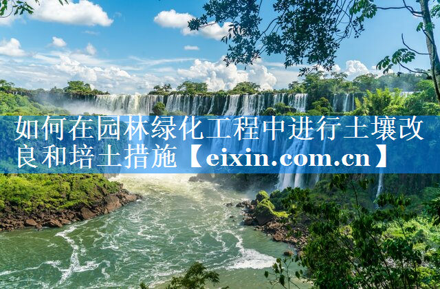 如何在園林綠化工程中進(jìn)行土壤改良和培土措施