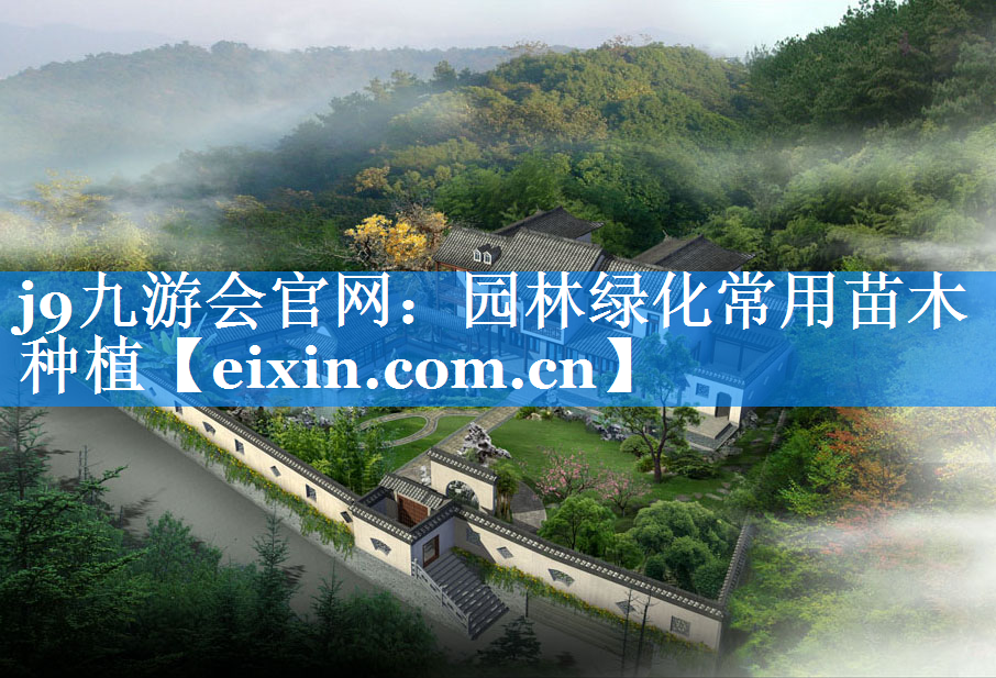 園林綠化常用苗木種植