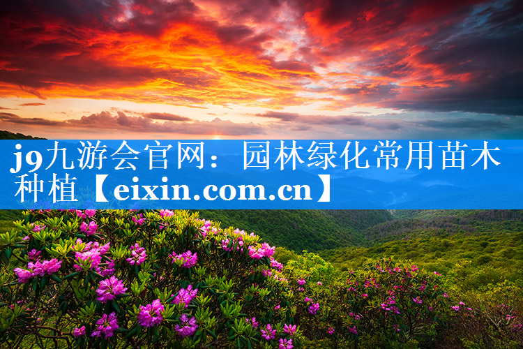 園林綠化常用苗木種植