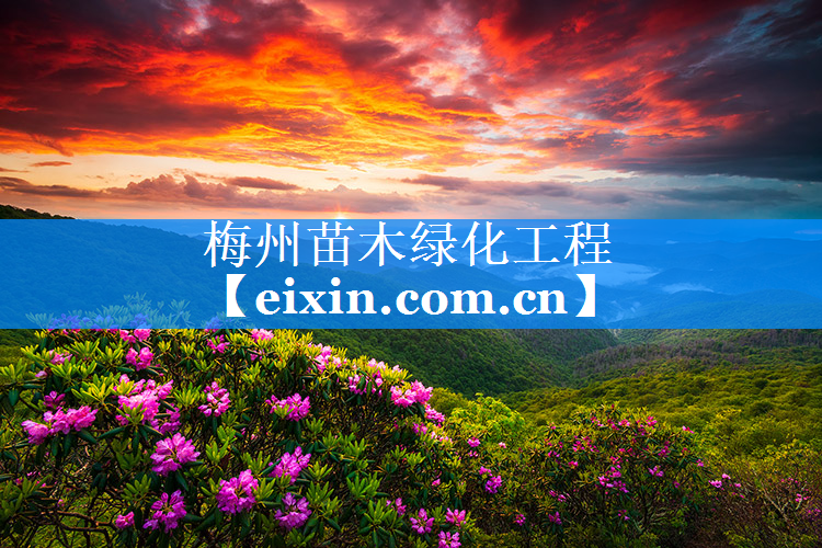 梅州苗木綠化工程