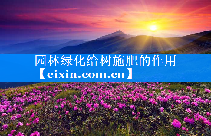 園林綠化給樹施肥的作用