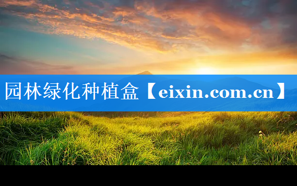 園林綠化種植盒