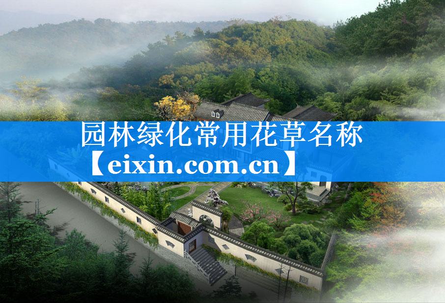 園林綠化常用花草名稱
