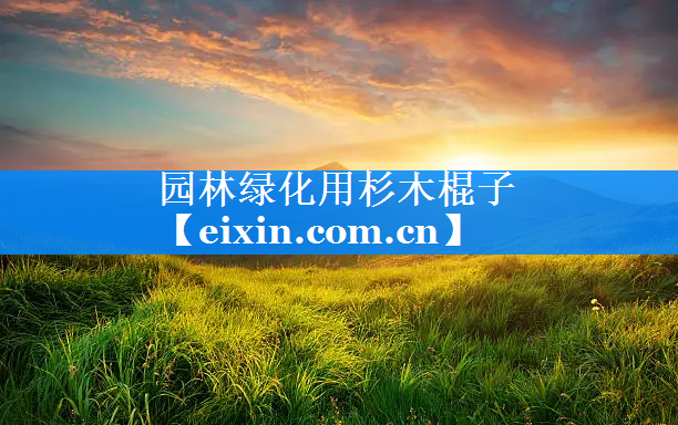 園林綠化用杉木棍子