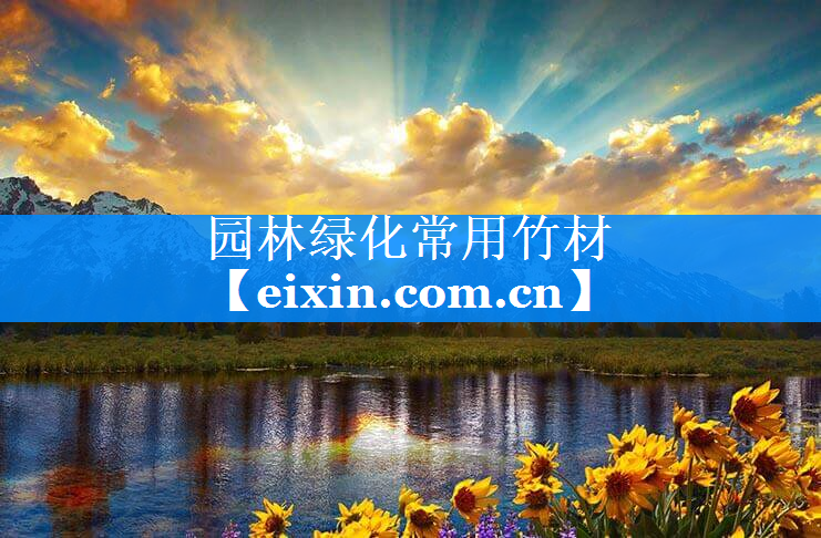 園林綠化常用竹材