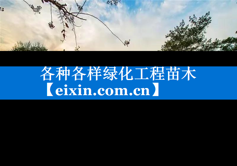 各種各樣綠化工程苗木