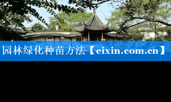 園林綠化種苗方法