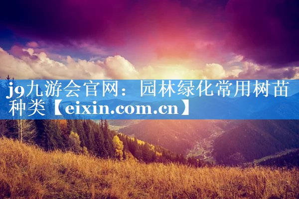 園林綠化常用樹苗種類