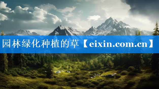 園林綠化種植的草