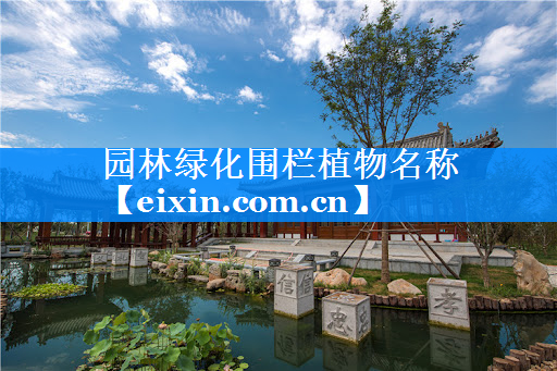 園林綠化圍欄植物名稱