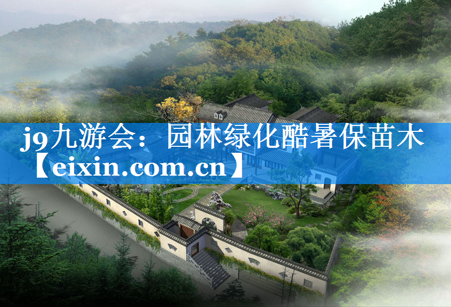 園林綠化酷暑保苗木