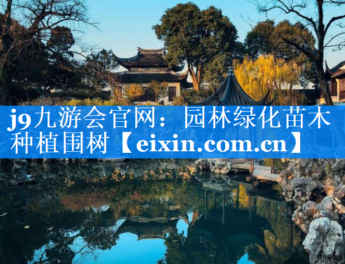 園林綠化苗木種植圍樹