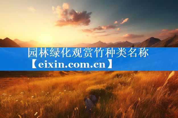 園林綠化觀賞竹種類名稱