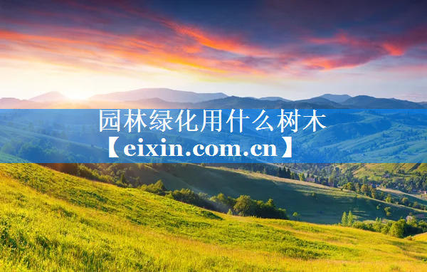 園林綠化用什么樹(shù)木