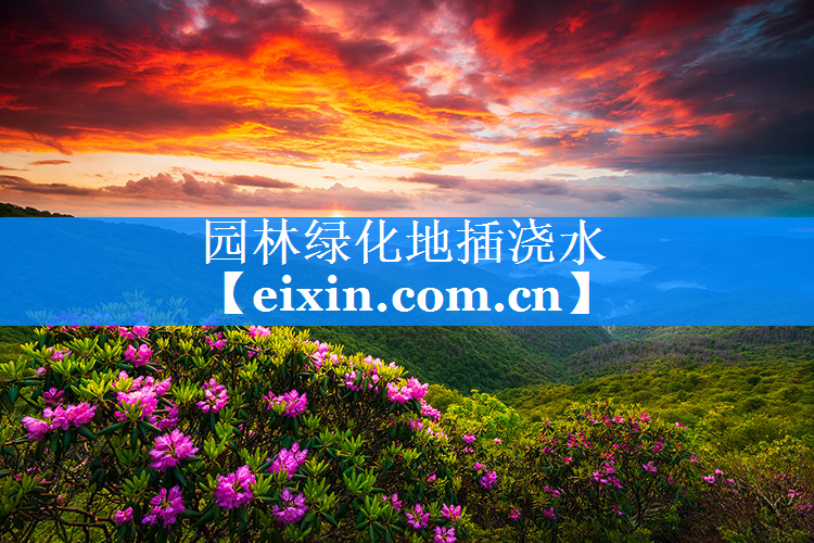 園林綠化地插澆水