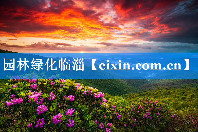 園林綠化臨淄