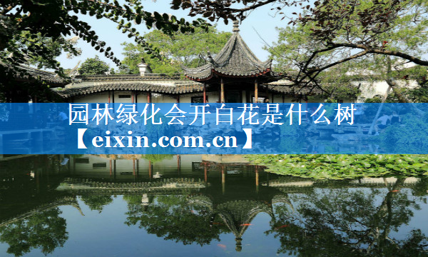 園林綠化會開白花是什么樹