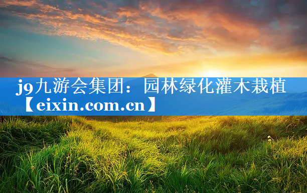 園林綠化灌木栽植