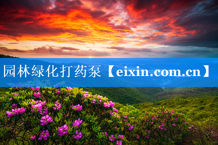 園林綠化打藥泵