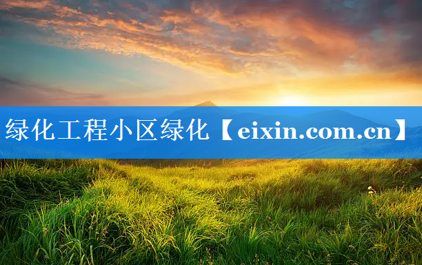 綠化工程小區(qū)綠化